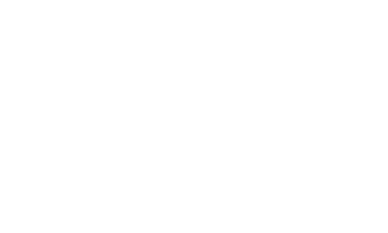 the-pioneer.png